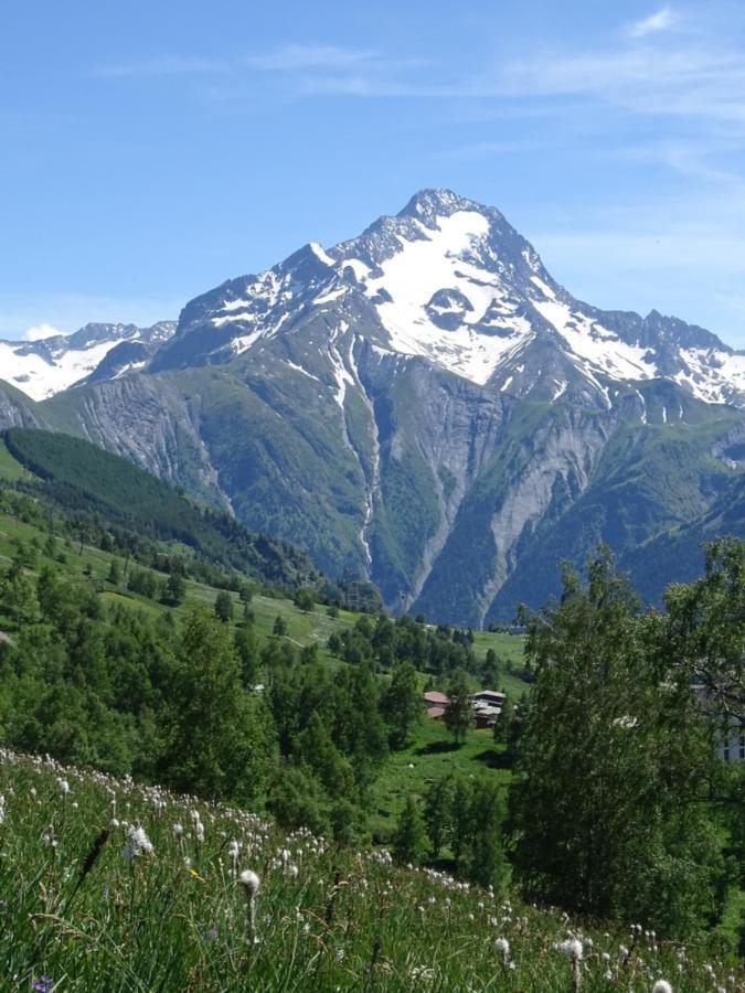 L'Ansloboys Montagne A2 Apartment Les Deux Alpes Ngoại thất bức ảnh